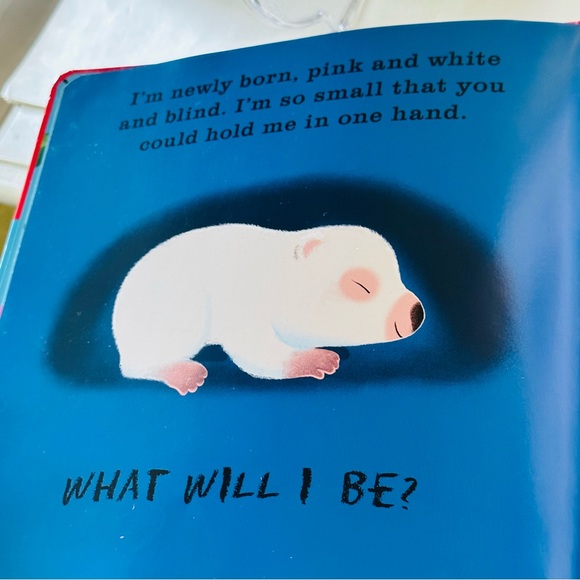 uncover & discover What Will I Be? Baby Board Book - Picture 9 of 15